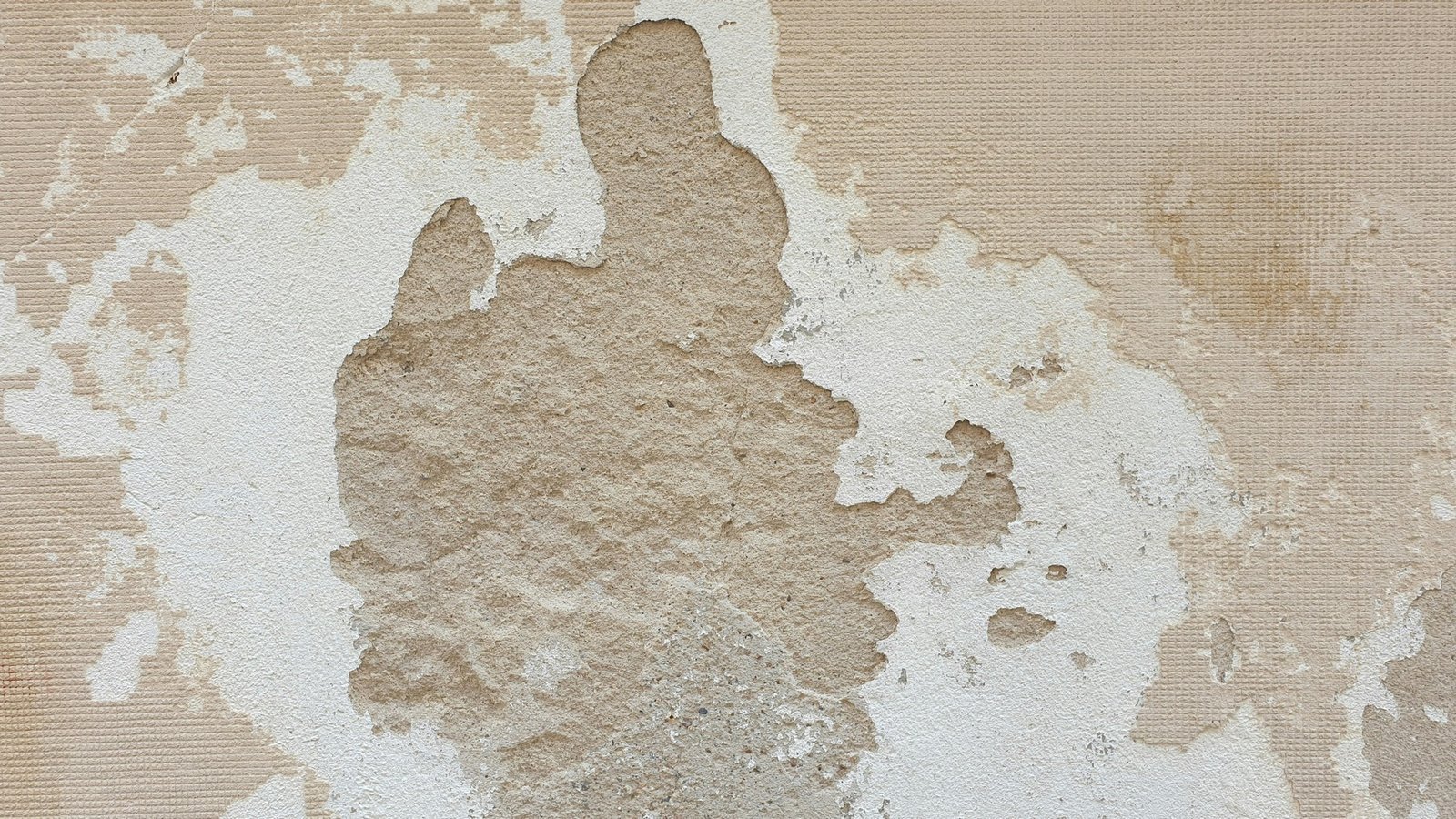 Feuchte Wand in einem Innenraum